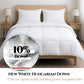 Aura Basic Down Duvet | 10% New Hungarian Goose Down Class I | Oeko-tex | Hypoallergenic