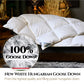 Aura Chillmesh Summer Down Duvet | 90% New Hungarian Goose Down Class I | Oeko-tex | Hypoallergenic