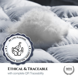 Aura 1-Chamber Pillow | 70% Hungarian Down Class I | Oeko-tex | Hypoallergenic